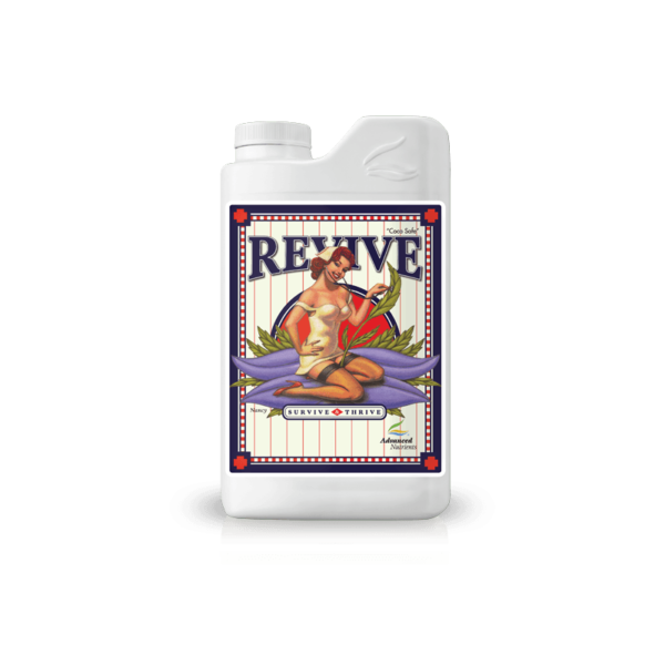 revive