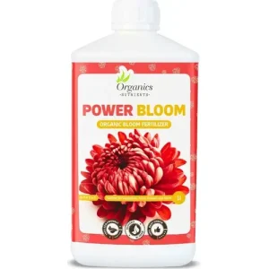 Power Bloom