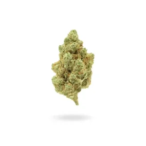Amnesia Haze